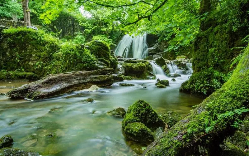 高端先进科技